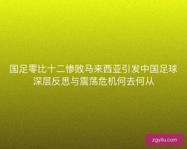 国足零比十二惨败马来西亚引发中国足球深层反思与震荡危机何去何从